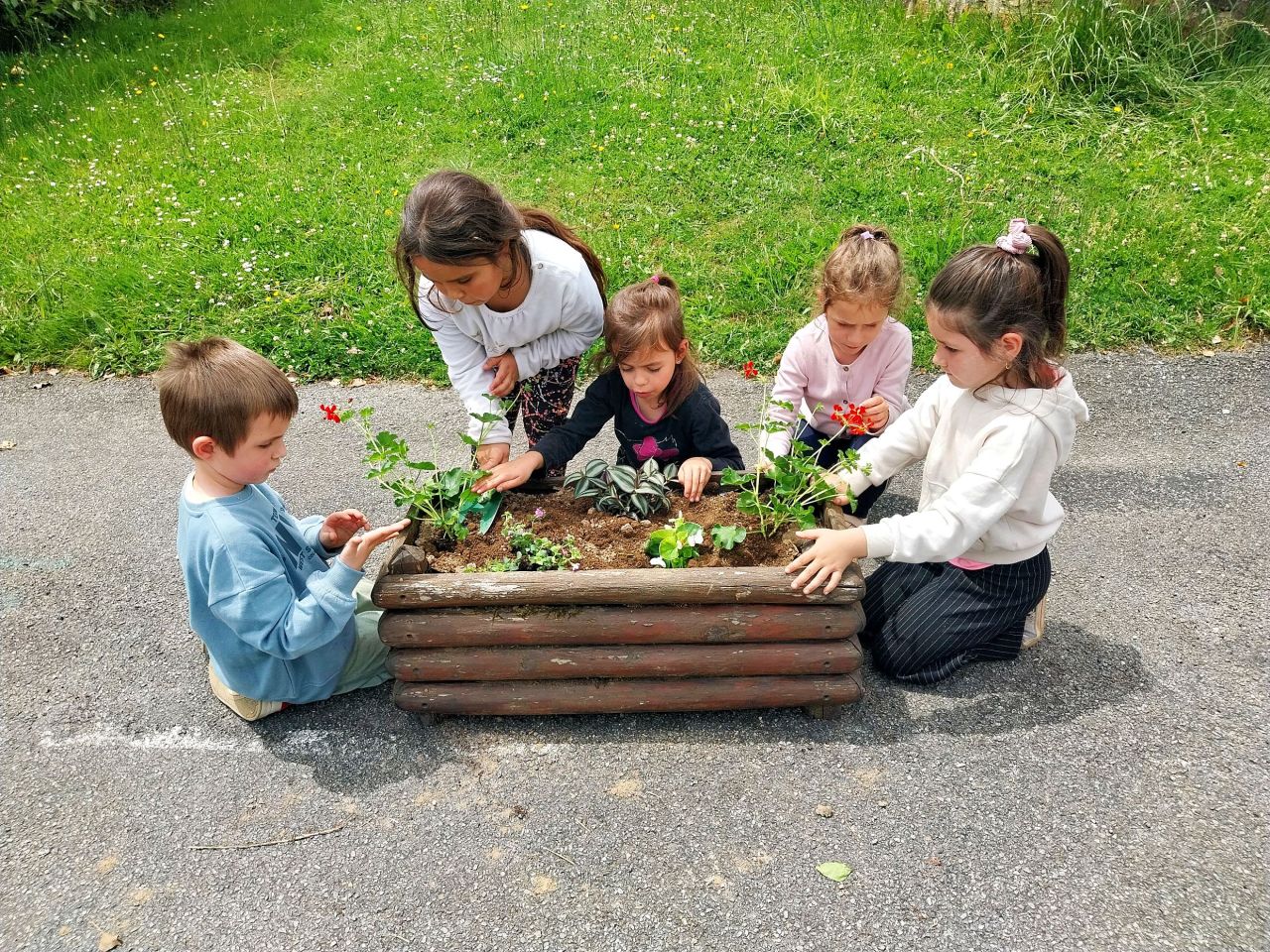 Ecole Primaire Publique en RPI Vicq Sur Breuilh